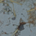 Imagem de textura, detalhe de paginação